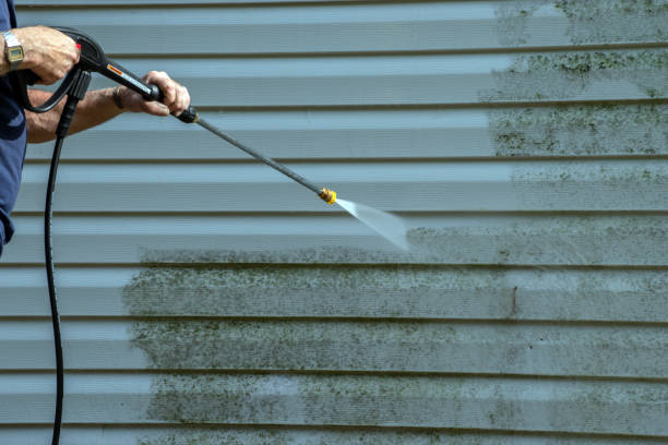 Local Pressure Washing Services in Palmetto Bay, FL